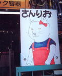 きてぃー.jpg