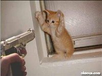 ねこ5.jpg
